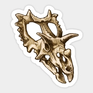 Dinosaur Skull Spiclypeus Sticker